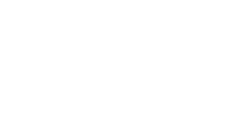 Institut de Sondage et d'Etude en Statistique et en Economie (I2SE)